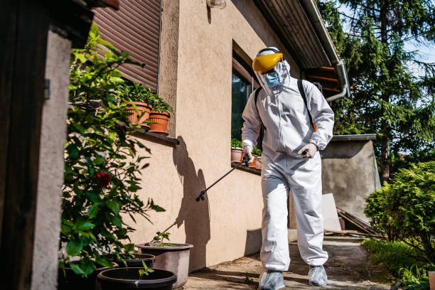 Best Wasp Removal Services  in Konawa, OK